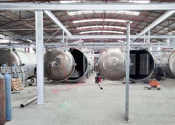 100Kg 200Kg Food Vacuum Industrial Freeze Drying Equipment