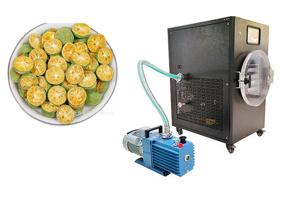 PLC Control 10Kg Home Freeze Dryer -50C To 50C Temperature Range