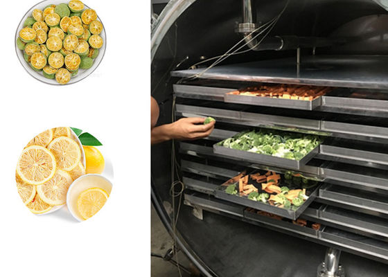 Fruits Vegetables Industrial Freeze  Machine 100kg/Batch