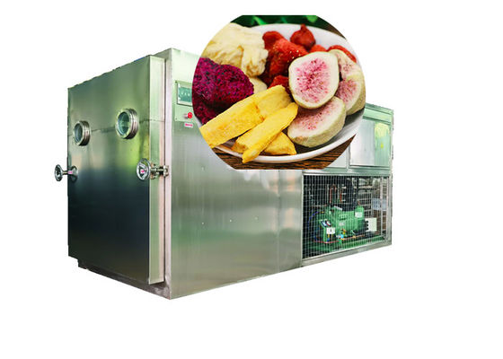 100Kg 200Kg PLC Controlled Lyophilizer Food Vacuum Freeze Dryer