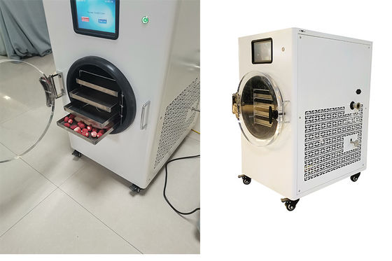 4-10kg Capacity Home Freeze Dryer Medium Freeze Drying Machine