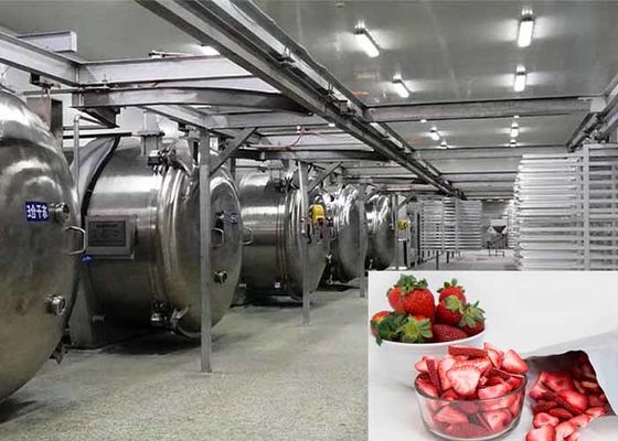 100KG Food Vacuum Freeze Dryer Industrial Freeze Drying Equipment