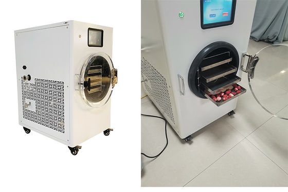 Home Food  Electric Heating With 20-24 Hours