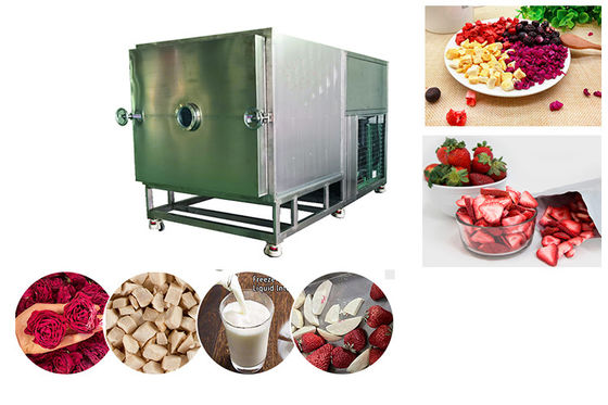 High Capacity Food Vacuum Freeze Dryer 100 Kg/Batch Freeze Dry Fruit Machine