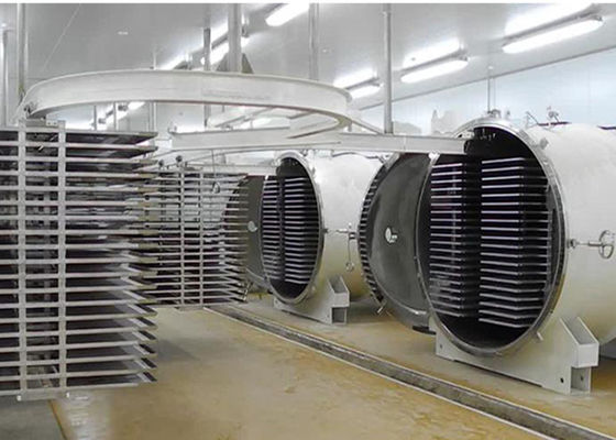 PLC Control Freeze Dryer  Industry 500Kg/Batch