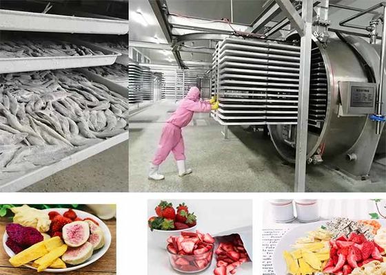 PLC Controlled Food Vacuum Food Freeze Dryer 200kg/batch