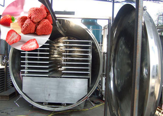 300Kg Vacuum Atla Industrial Food Vegetable Dry Freezer Machine
