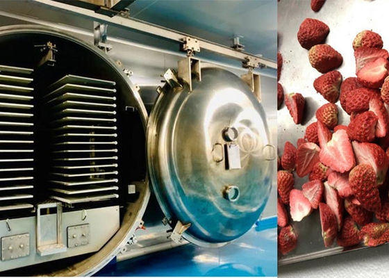 Commercial Food Vegetable Freeze Dryer Air Cooling
