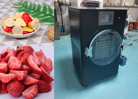 4Kg 6Kg 10Kg Compact PLC Controlled Mini Freeze Dry Machine