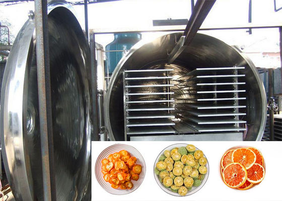 Animal Vacuum Lyophilizer Freeze Dryer PLC Control