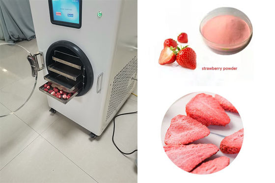 Stainless Steel Home Mini Freeze Dryer LCD Touch Screen