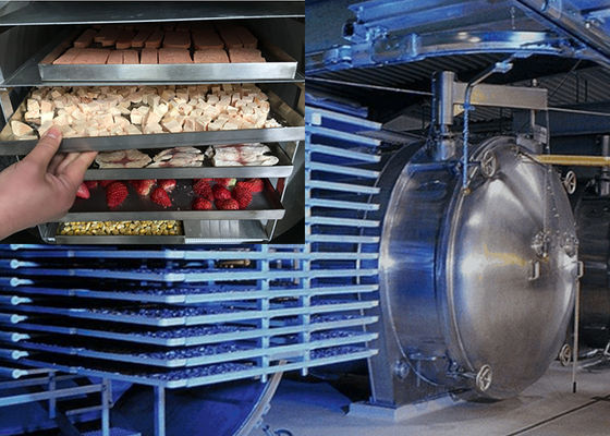 Industrial-Grade Food Vacuum Freeze Dryer Energy Saving Lyophilizer