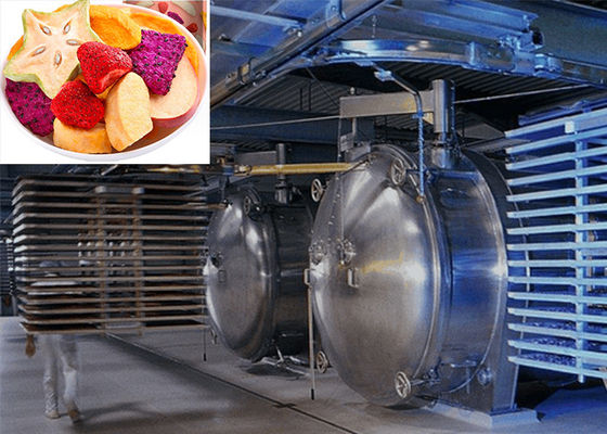 220V/380V/3PH Professional Food Vacuum Freeze Dryer For High Drying Performance