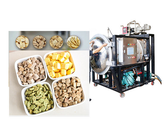 Bitzer Vacuum Industrial Scale Freeze Dryer 300Kg
