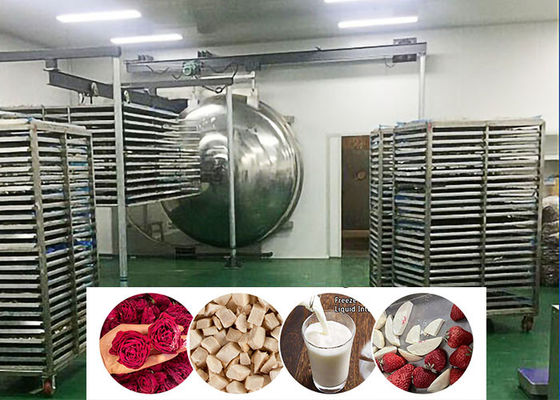Vacuum Food Industrial Freeze Dryer Machine 200 Kg/Batch
