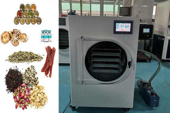 Compact Mini Home Freeze Dryer With PLC Control And Versatile Capacity