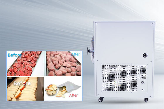 -50C- 50C Tempe Mini Freeze Dryer 10kg/Batch Air Cooled