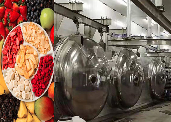 Industrial Food Vacuum Freeze Drying Machine 304 Stainless Steel