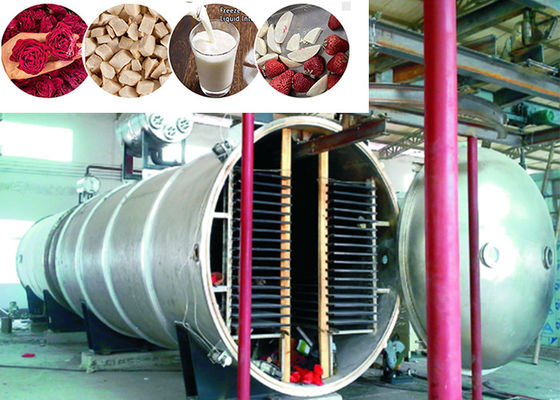 400 Kg/Batch Vacuum Industrial Food Freeze Dryer
