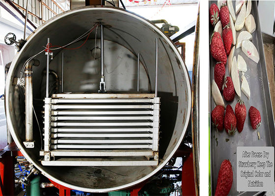 300Kg Remote Control Industrial Dry Freezer Machine