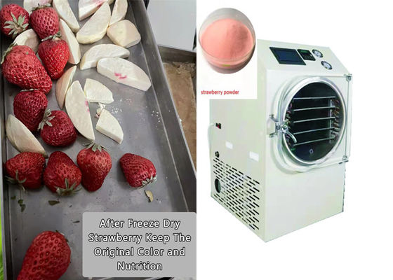 PLC Controlled Food Home Freeze Dryer 6Kg 10Kg Medium Size