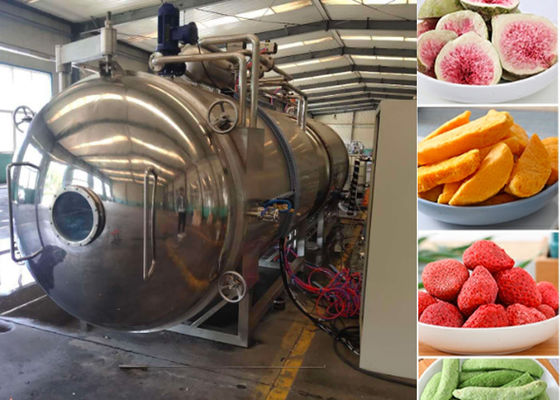 Medium Food Vacuum Freeze Drying Machine 100kg/Batch