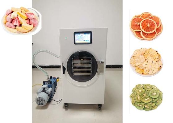 Stainless Steel Mini Freeze Dryer For Medium-Sized Drying