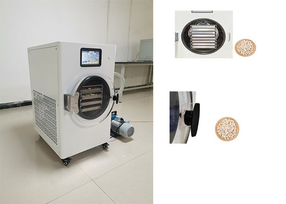 Revolutionize Freeze Drying Process With Home Freeze Dryer  220V 1PH