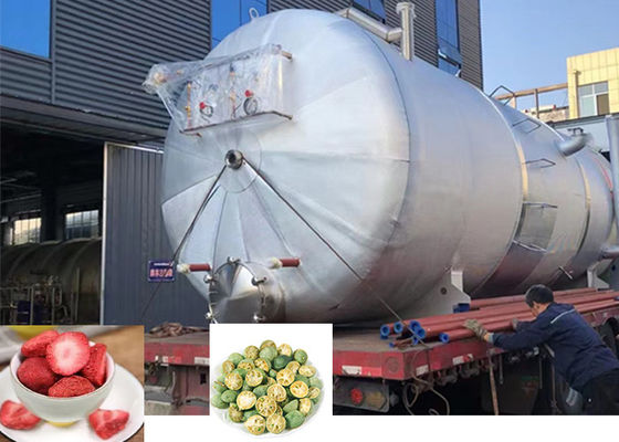 Large Industrial Freeze Dryer Machine 300Kg 500Kg 1000Kg