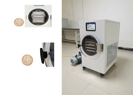 Stainless Steel Home Freeze Dryer For Food Preservation