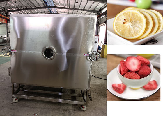 Industrial Grade Vegetable Freeze Dryer For Heavy-Duty Drying Applications
