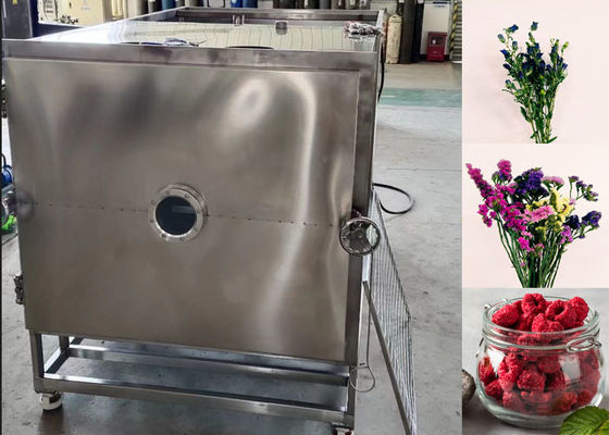 100Kg 200Kg Milk Pet Food Vacuum Freeze Dryer Machine Equipment