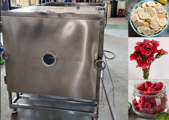 Large Food Vacuum Freeze Dryer Machine Lyophilizer Equipment