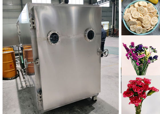 Efficient Food Vacuum Freeze Dryer Machine With Leybold System