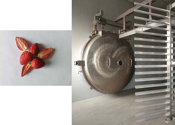 Precise 1000kg Industrial Freeze Dryer Superior Drying Solution for Industrial Products