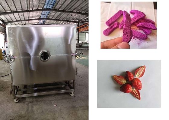 Automated High Performance Vegetable Freeze Dryer for Superior Drying Results
