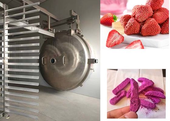 Industrial Freeze Dryer For Customizable And Versatile Drying Applications