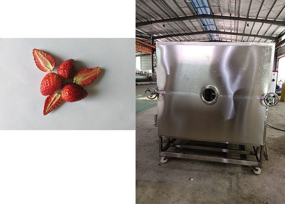 Leybold Refrigeration System Food Vacuum Freeze Dryer Machine Reliable