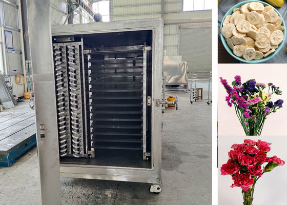 100Kg 200Kg Industrial Food Vegetable Freeze Dryer Machine Equipment Versatile