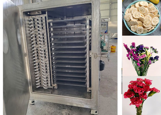 18-22 Hours/Batch Freeze Drying Automatic Vegetable Freeze Dryer Professional Grade