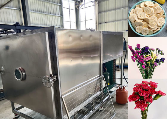 Custom Vegetable Freeze Dryer With Automatic Operation Mode