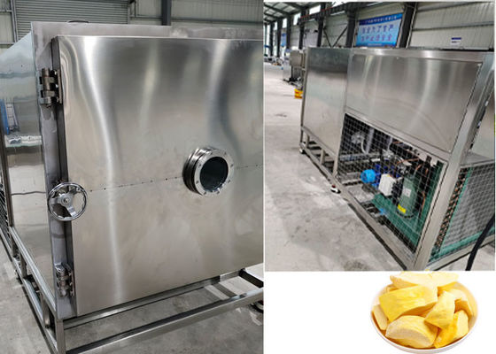 PLC Control Freeze Dry Fruit Machine Equipment 100Kg 200Kg