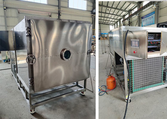 50kg100Kg Vacuum Food Lyophilizer Freeze Dryer Machine