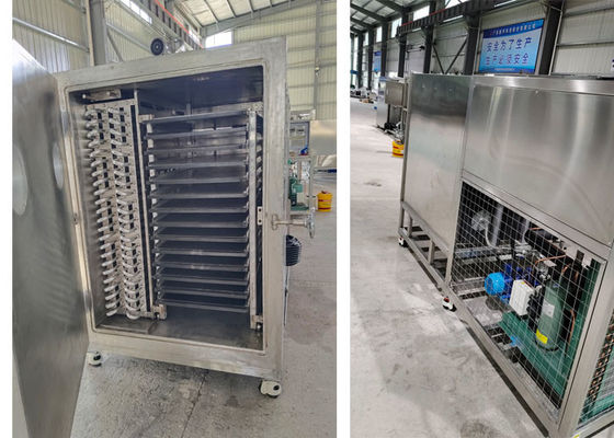 50kg 100Kg 200Kg Capacity Lyophilizer Freeze Dryer Vacuum Machine