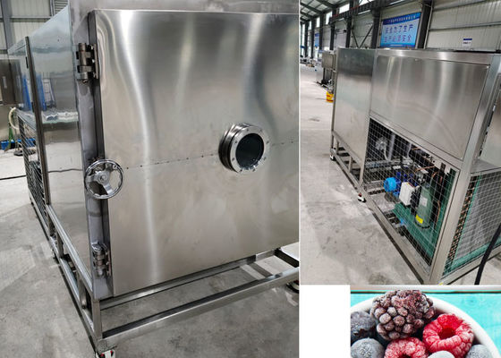 Candy Pet Food Vacuum Freeze Drying Machine - Bitzer Refrigeration System