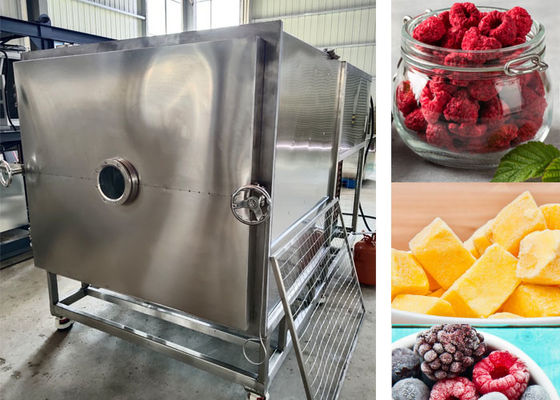 Large Food Vacuum Freeze Drying Machine -40C Freezing Temperature