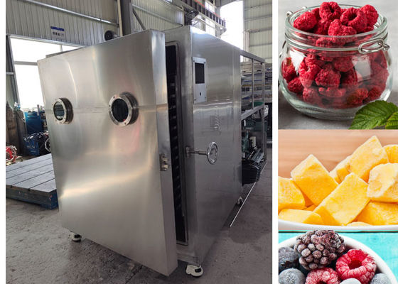Fully Automatic Lyophilizer Vacuum Freeze Drying Machine Equipment