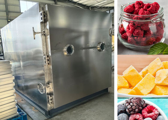 PLC Controlled Vacuum Freeze Drying Machine Lyophilizer Dryer 200Kg