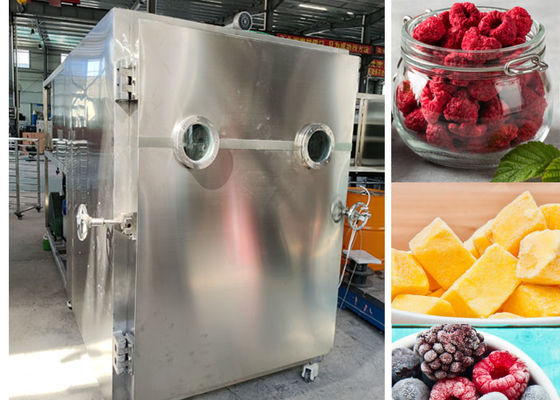 PLC Controlled Lyophilizer Freeze Dryer With Efficient Drying Time