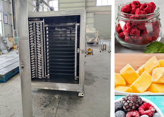 Compact Designed Industrial Vacuum Freeze Drying Machine